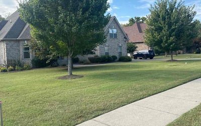 Photo of Brian M.'s yard after getting lawn care in La Vergne, TN