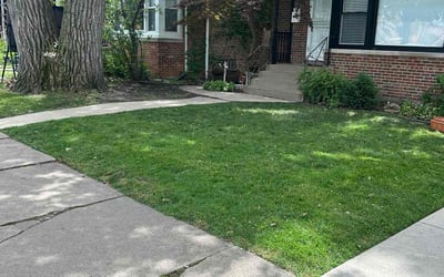 Photo of Lorraine C.'s yard after getting lawn care in Irving Park, IL