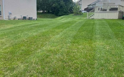 Photo of Ally N.'s yard after getting lawn care in Beavercreek, OH