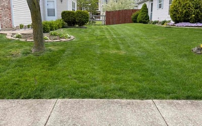 Photo of Raman T.'s yard after getting lawn care in Galloway, OH
