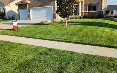 Photo of Ann W.'s yard after getting lawn care in Hamburg, NY