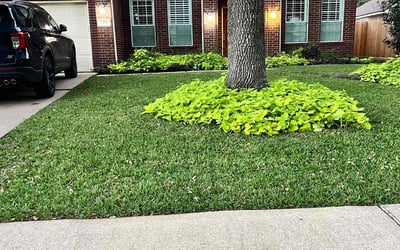 Photo of Annmarie H.'s yard after getting lawn care in Fairhaven, MA