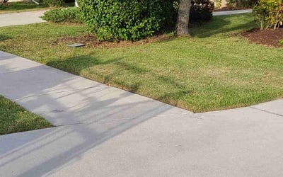 Photo of TJ B.'s yard after getting lawn care in Bradenton, FL