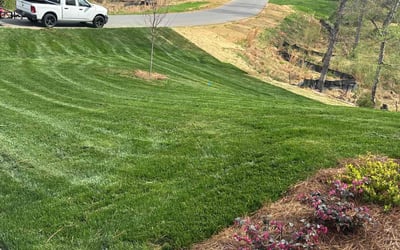 Photo of Yong Z.'s yard after getting lawn care in Greensboro, NC