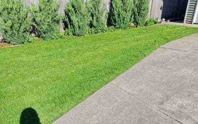 Photo of Rajeswari P.'s yard after getting lawn care in Alsip, IL