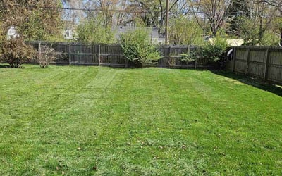 Photo of Lori G.'s yard after getting lawn care in Aylett, VA