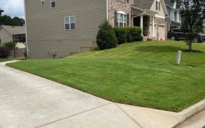 Photo of Janet M.'s yard after getting lawn care in Austell, GA