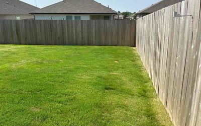 Photo of Heather K.'s yard after getting lawn care in Seguin, TX