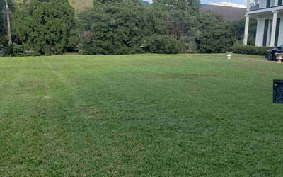 Photo of Nancy K.'s yard after getting lawn care in Grand Bay, AL