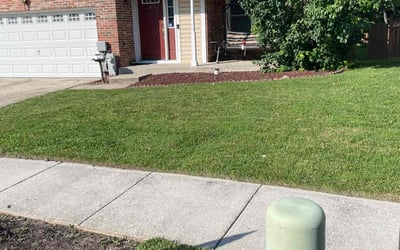 Photo of Johnay K.'s yard after getting lawn care in Laurel, MD