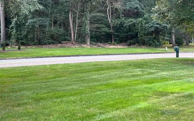 Photo of Tiffini B.'s yard after getting lawn care in Clinton, CT