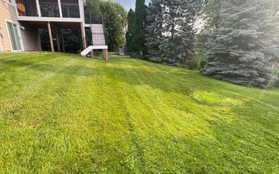 Photo of Chad F.'s yard after getting lawn care in New Brighton, MN
