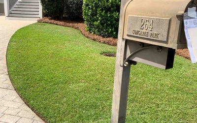 Photo of Holly G.'s yard after getting lawn care in West Columbia, SC
