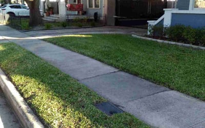 Photo of Edgar A.'s yard after getting lawn care in Freeport, TX