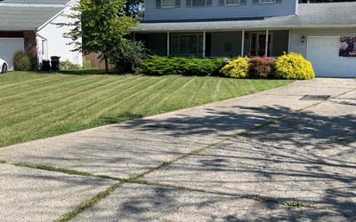 Photo of Leslie B.'s yard after getting lawn care in Amherst, OH