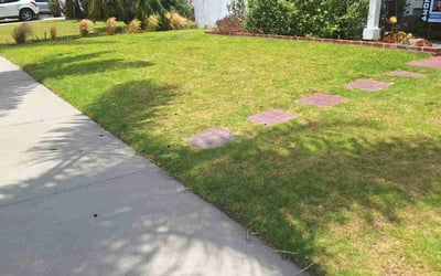 Photo of Nicole H.'s yard after getting lawn care in Fillmore, CA