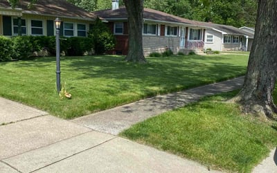 Photo of Sammy H.'s yard after getting lawn care in Merrillville, IN