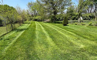 Photo of Zach S.'s yard after getting lawn care in Fairfield, OH