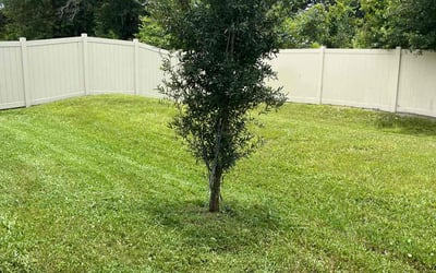 Photo of Christopher M.'s yard after getting lawn care in West Babylon, NY