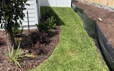 Photo of Zach J.'s yard after getting lawn care in Sarasota, FL