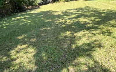 Photo of Alekzander V.'s yard after getting lawn care in Latrobe, PA