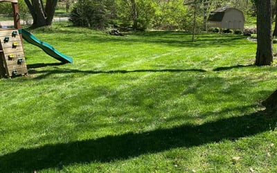 Photo of Colton S.'s yard after getting lawn care in Brownsburg, IN