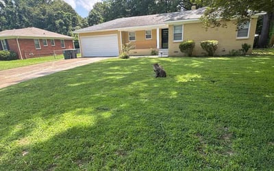 Photo of Lauren B.'s yard after getting lawn care in Denver, CO
