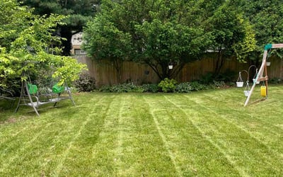 Photo of Douglas S.'s yard after getting lawn care in Muskegon, MI