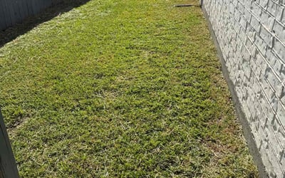 Photo of Tony M.'s yard after getting lawn care in Chambersburg, PA