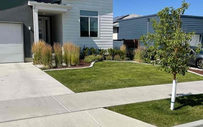 Photo of Paul S.'s yard after getting lawn care in West Jordan, UT