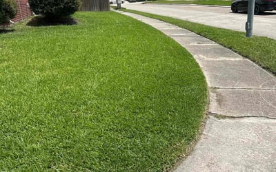 Photo of Hira Z.'s yard after getting lawn care in Easthampton, MA