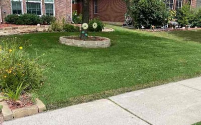 Photo of Rebecca M.'s yard after getting lawn care in Bedford, TX