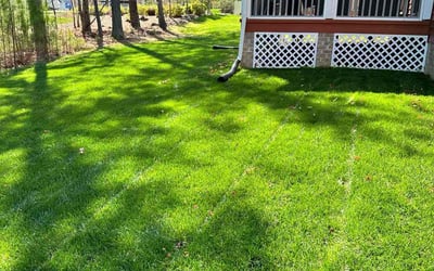 Photo of Michael F.'s yard after getting lawn care in Chesterfield, VA