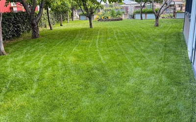 Photo of Teshan A.'s yard after getting lawn care in Nampa, ID