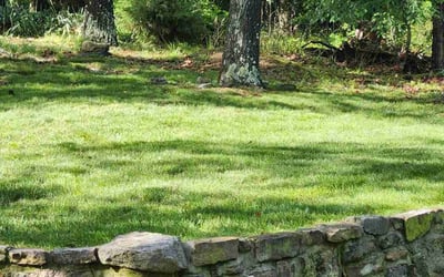 Photo of Rosalind, H.'s yard after getting lawn care in Bella Vista, AR