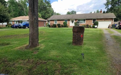 Photo of Alexis W.'s yard after getting lawn care in Daytona Beach, FL