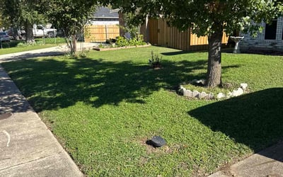 Photo of Diane W.'s yard after getting lawn care in Easthampton, MA
