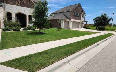 Photo of Jp P.'s yard after getting tree care in Stanley, NC