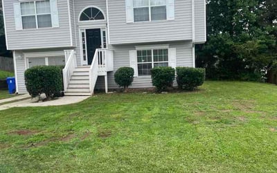 Photo of Adrian S.'s yard after getting lawn care in Columbia, MO