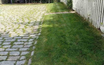 Photo of Donna A.'s yard after getting lawn care in Latham, NY