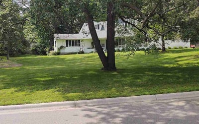 Photo of Amy G.'s yard after getting lawn care in Brooklyn Park, MN