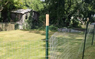 Photo of Skylar R.'s yard after getting lawn care in Forest Park, GA