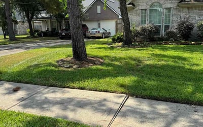 Photo of Nebu C.'s yard after getting lawn care in Cleveland, TX