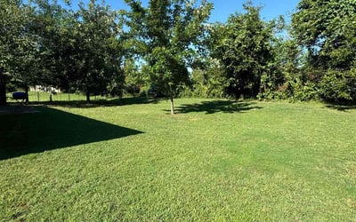 Photo of Reatter N.'s yard after getting lawn care in Rogers, AR
