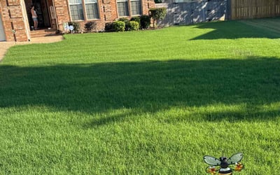 Photo of Robert P.'s yard after getting lawn care in Jacksonville, AR