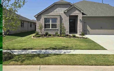Photo of David P.'s yard after getting lawn care in Aubrey, TX