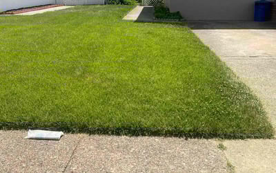Photo of Sonya W.'s yard after getting lawn care in Philadelphia, PA