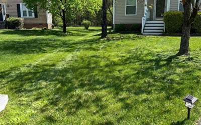 Photo of Jacqueline L.'s yard after getting lawn care in Charles City, VA