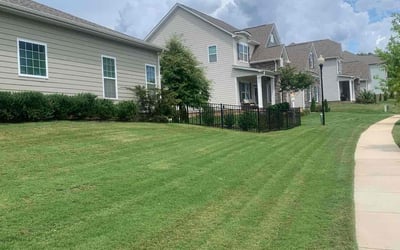 Photo of Kirk G.'s yard after getting lawn care in Waxhaw, NC