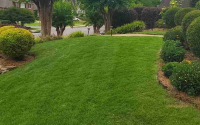 Photo of Tiffany P.'s yard after getting lawn care in Birmingham, AL